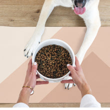 Load image into Gallery viewer, Large Birthday Suit Pet Food Mat