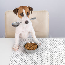 Load image into Gallery viewer, Large Mud Cloth Pet Food Mat