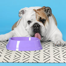 Load image into Gallery viewer, Crossed the Line Pet Food Mat - Cats & Small Dogs