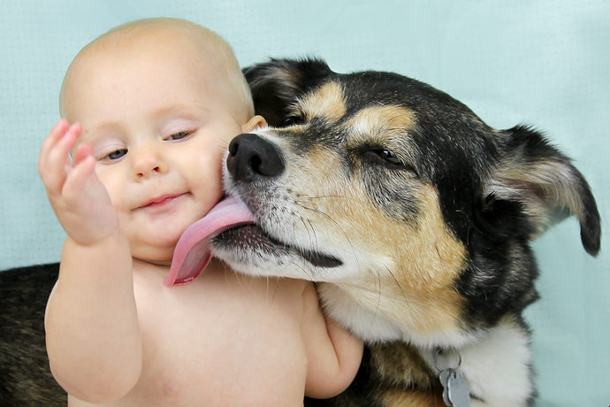 Lickety-Split: Why Dogs Can't Keep Their Tongues to Themselves