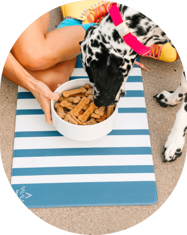 NALALAS Bohemian Large Waterproof Dog Mat Food & Water Pet Food