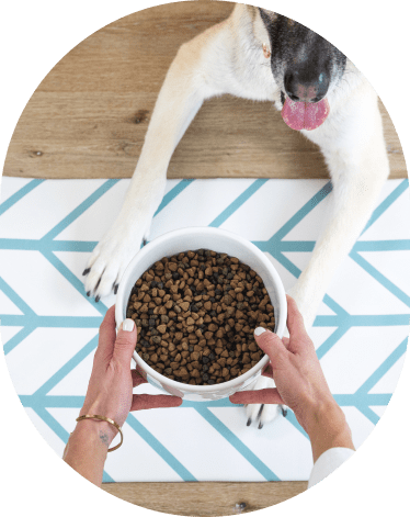 NALALAS Boho Dog Food Mat & Cat Food Mat - Large Waterproof Pet Food Mat -  Dog Mat & Cat Mat for Food & Water Bowls - Large Dog Food Mats for Floors
