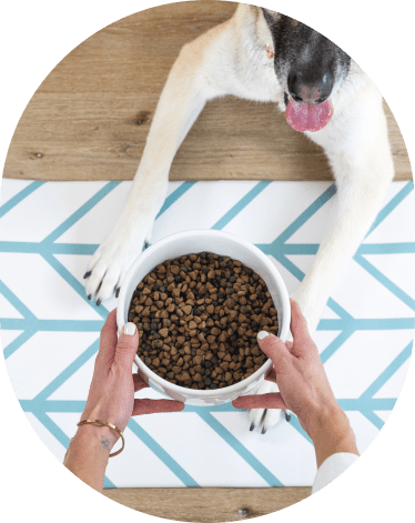 NALALAS Bohemian Large Waterproof Dog Mat - Food & Water Pet Food Mat, Cat Food Mat, Dog Food Mat for Floors - Waterproof Nonsli