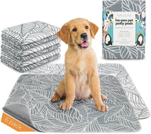 Load image into Gallery viewer, Washable Pet Pee Pads - Palm Beach 6 Pack 34&quot; x 36&quot;
