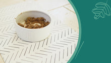 Load and play video in Gallery viewer, Birthday Suit Pet Food Mat
